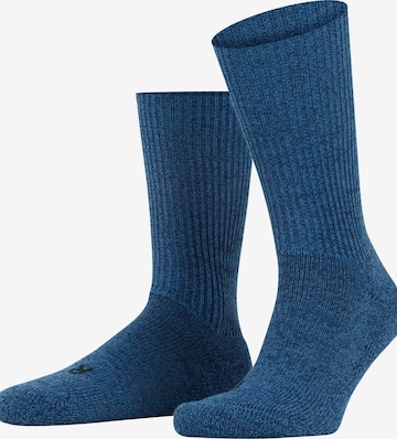 FALKE Socks 'Walkie Ergo' in Blue: front
