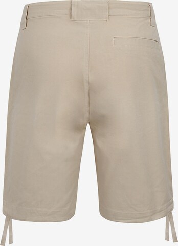 Regular Pantalon outdoor 'Gobi' normani en beige