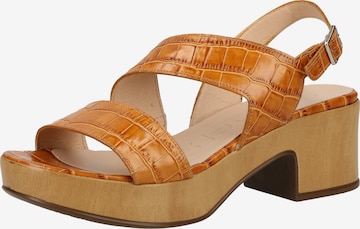 Wonders Strap Sandals in Brown: front
