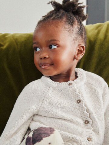 Next Knit cardigan in Beige
