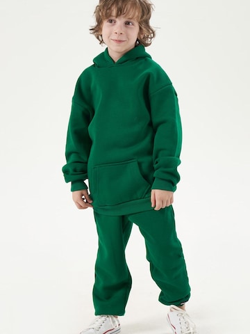 LOUIS LECLER Joggingpak 'Finn' in Groen