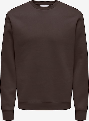 Only & Sons Regular Fit Collegepaita 'ONSCERES' värissä ruskea: etupuoli