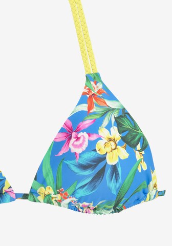 VENICE BEACH Triangel Bikinitop in Blauw