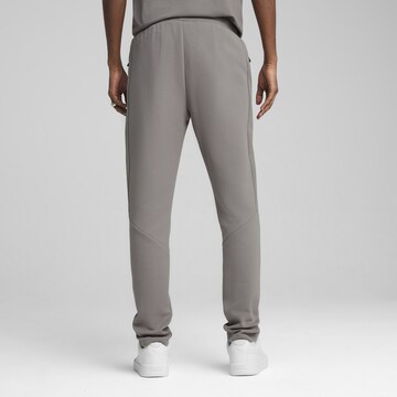 PUMA Slimfit Sporthose 'Evostripe' in Grau