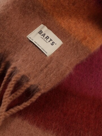 Barts Scarf 'Eluzabeth' in Mixed colours