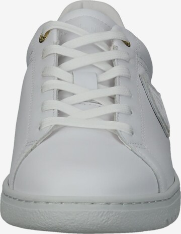 PANTOFOLA D'ORO Sneakers 'Paterno' in White