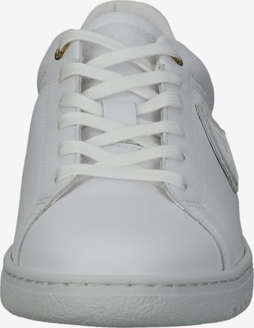 Baskets basses 'Paterno' PANTOFOLA D'ORO en blanc