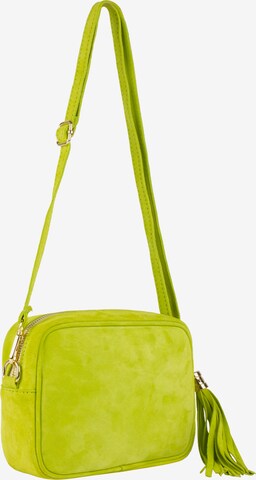 NAEMI Crossbody Bag in Green