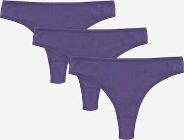 Tazzio Thong 'F933' in Purple: front