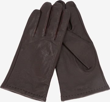 STRELLSON Full Finger Gloves in Brown
