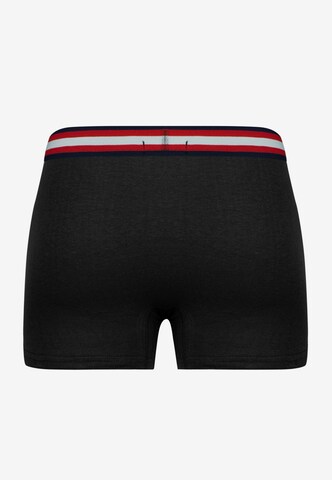 Basics and More Boxer shorts in Mixed colors