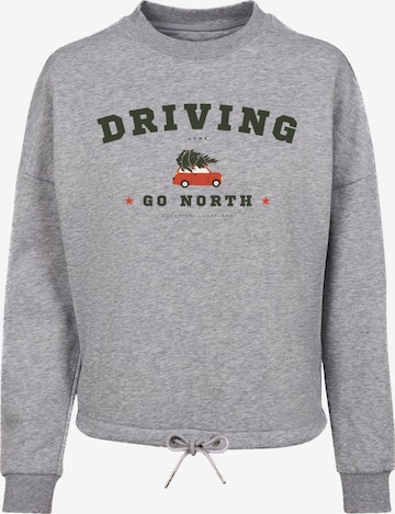 F4NT4STIC Sweatshirt in Grey: front