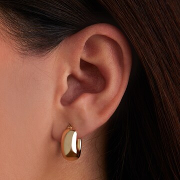 Beloro Jewels Oorbellen in Goud: voorkant