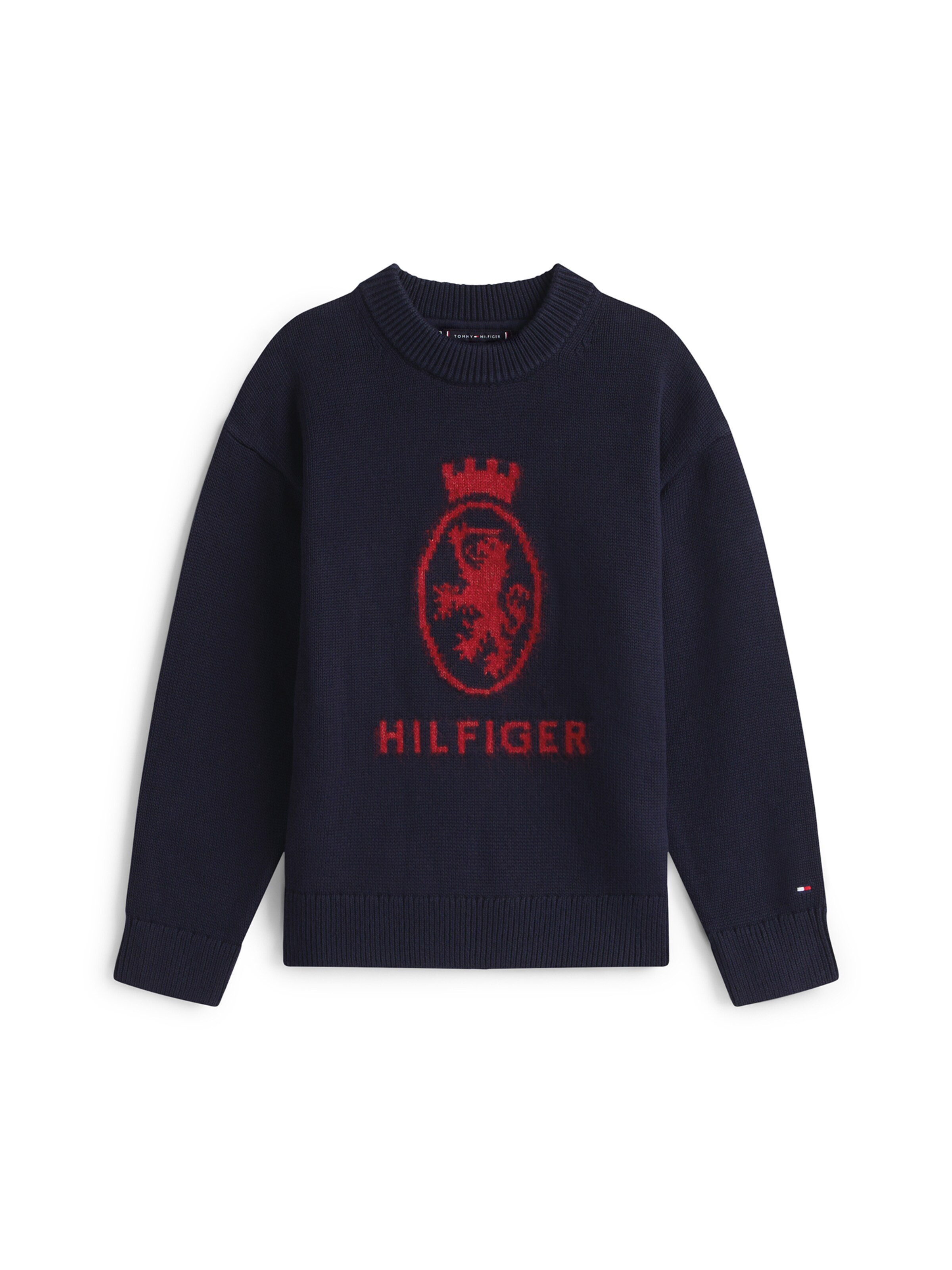 TOMMY HILFIGER Свитер в Синий: спереди