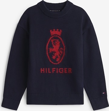 mėlyna TOMMY HILFIGER Megztinis: priekis