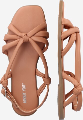 ABOUT YOU Sandalen met riem 'Sabrina' in Oranje