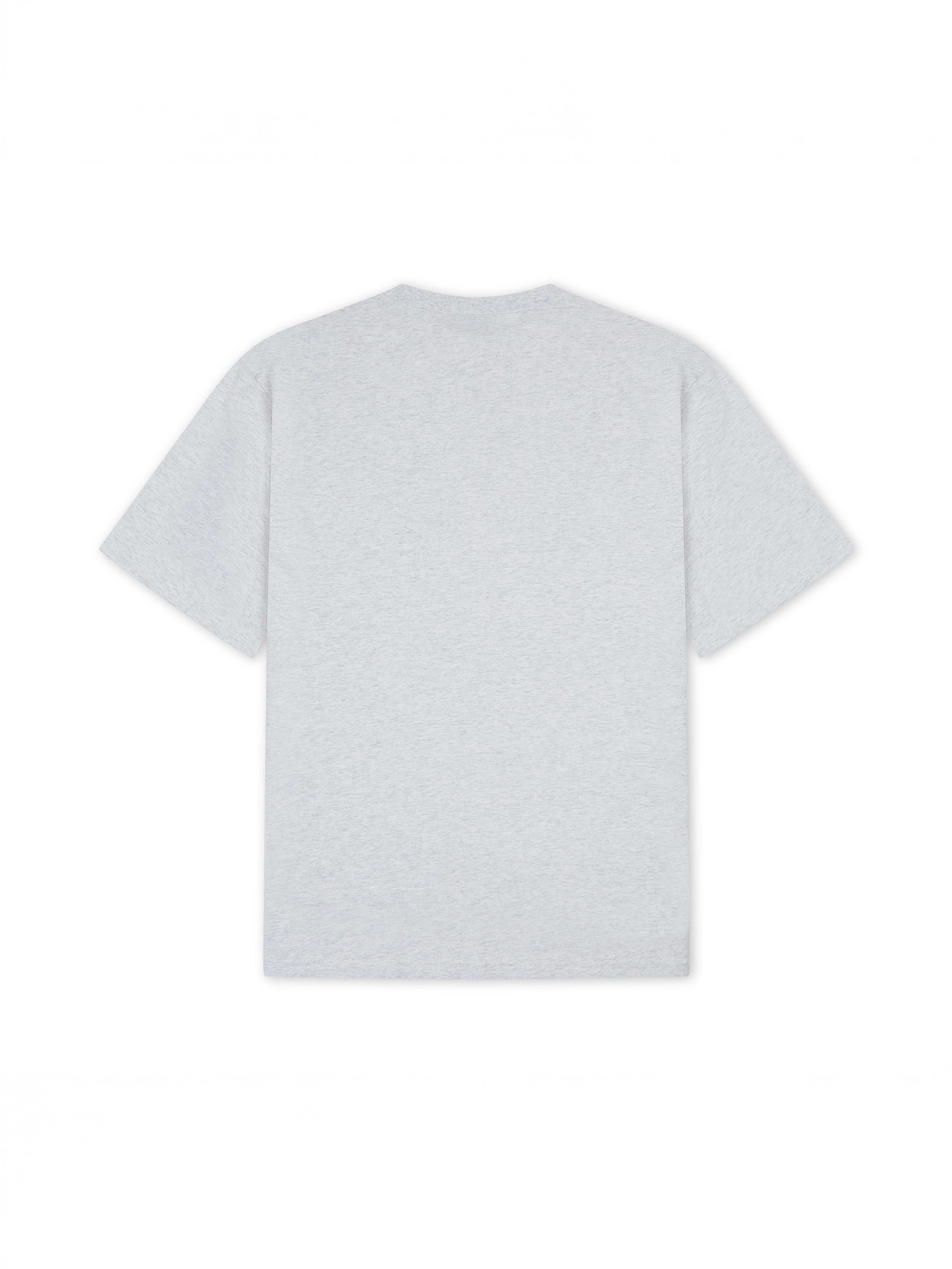 AND1 T-Shirt in Grau