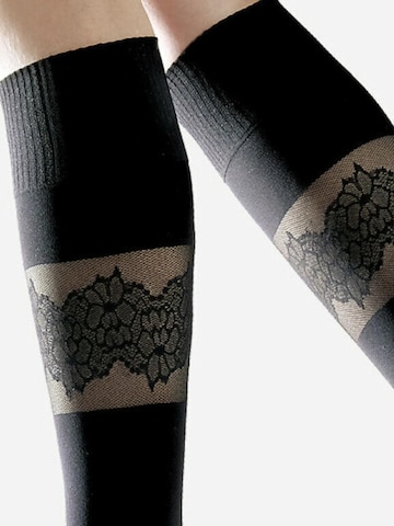 Lycille Knee High Socks in Black