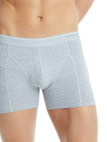 Blackspade Board shorts in Grey