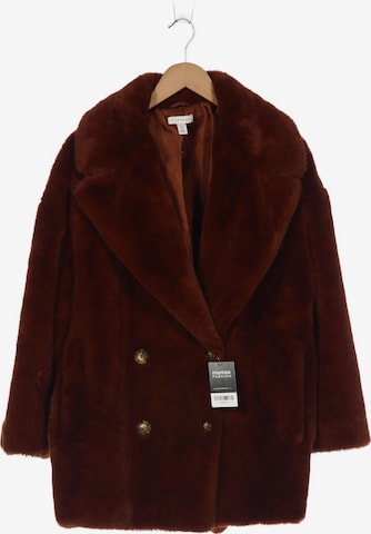 TOPSHOP Jacket & Coat in XXL in Brown: front