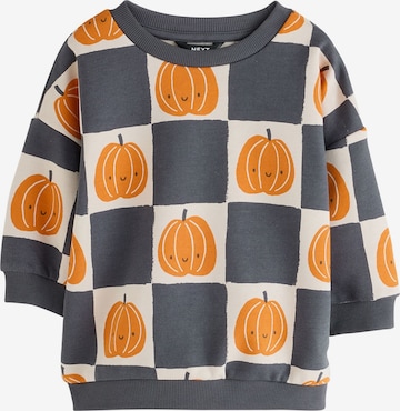 Next - Sudadera en gris: frente