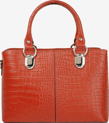 Cluty Crossbody Bag in Orange: front