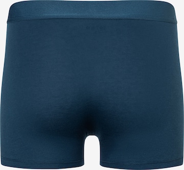 camano Boxershorts in Blau