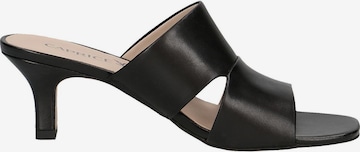 CAPRICE Mules in Black