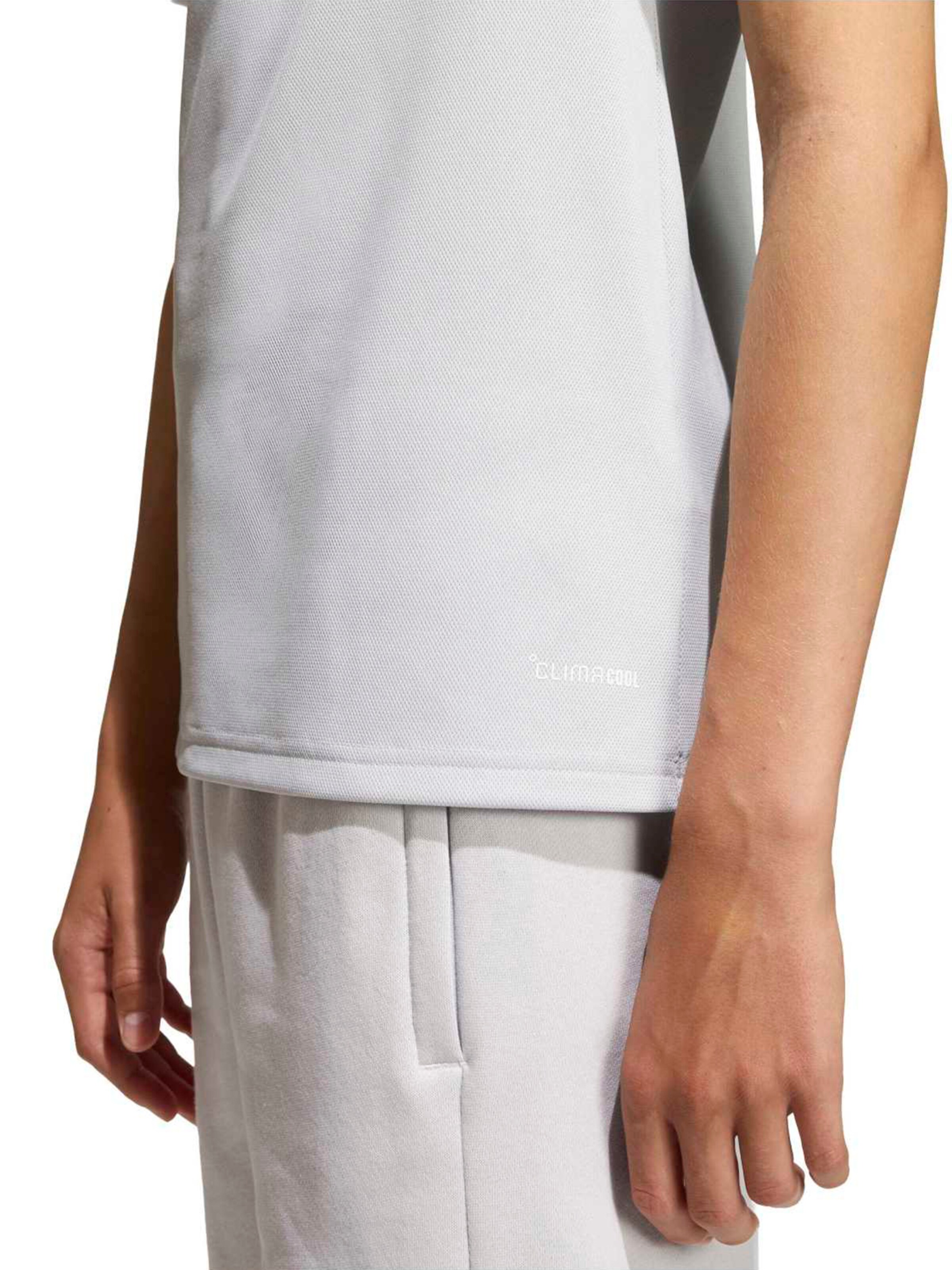 ADIDAS PERFORMANCE Toiminnallinen paita 'ENT26' värissä harmaa