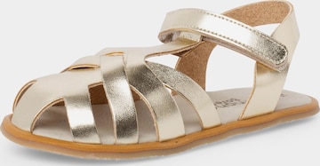 Pisamonas Sandal in Gold: front