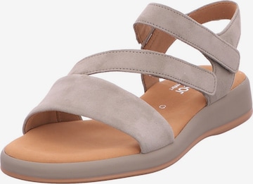 GABOR Strap Sandals 'Comfort' in Grey: front
