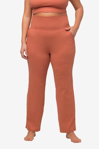 Ulla Popken Regular Hose  (GOTS) in Orange