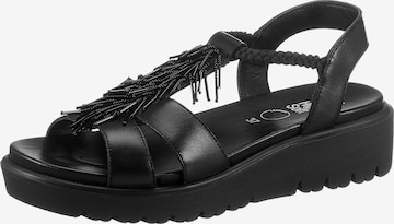 ARA Strap Sandals 'ARA' in Black: front