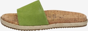 SIOUX Mules 'Aoriska-700' in Green