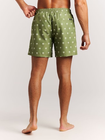 PROTEST Board Shorts 'PRTMascot' in Green