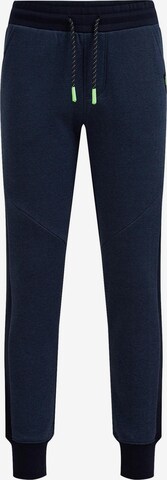 WE Fashion Pants in Blue: front