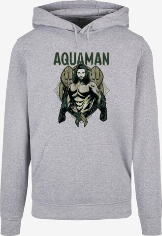 Felpa 'Aquaman - Scales' di ABSOLUTE CULT in grigio: frontale