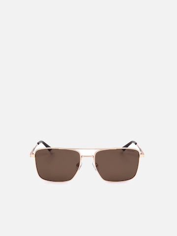 Polaroid Sunglasses in Gold: front