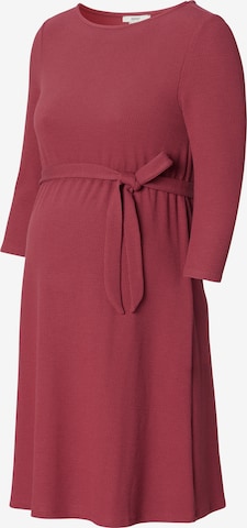 Esprit Maternity Kleid in Rot: predná strana