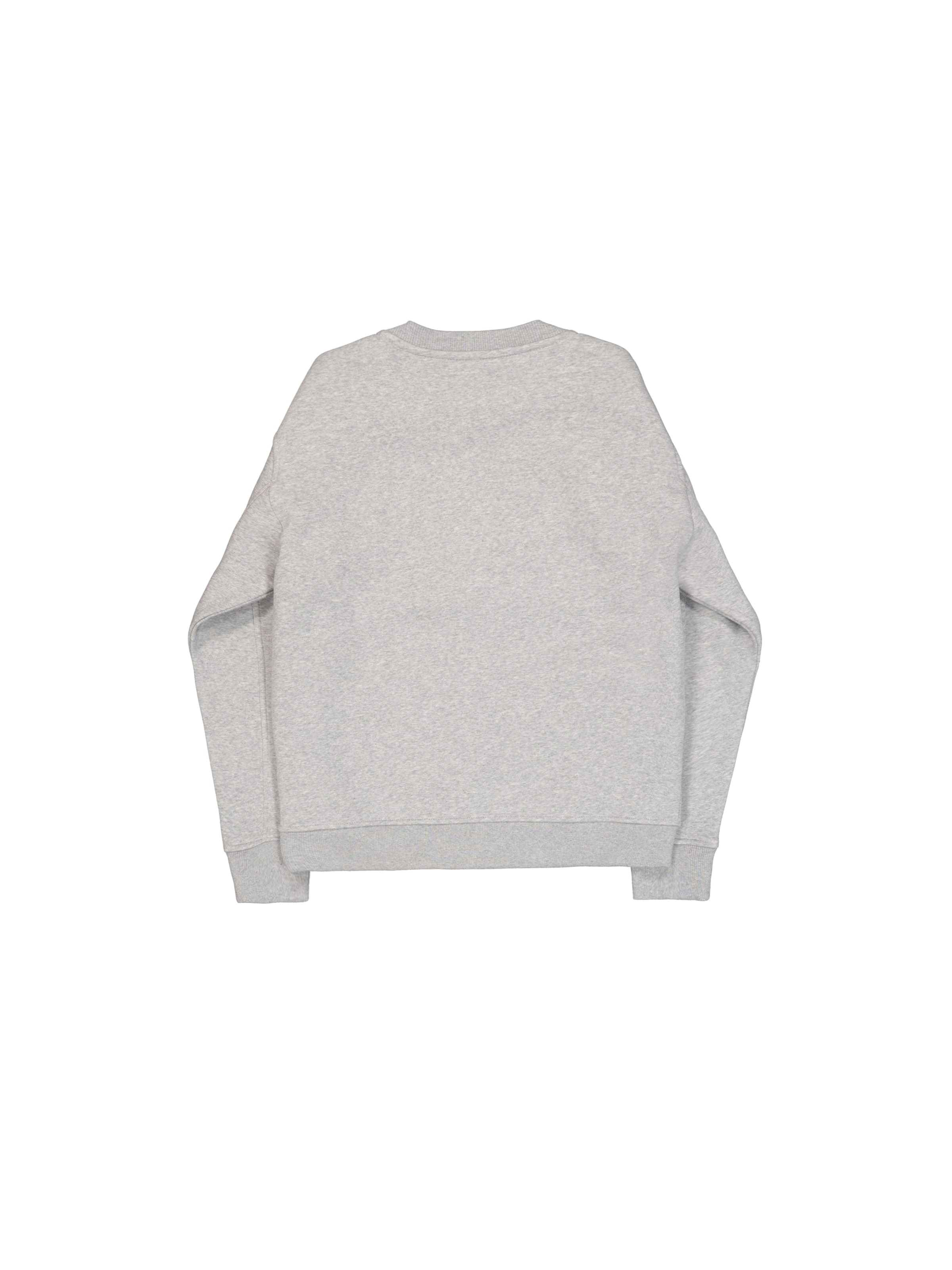 ALPHA INDUSTRIES Between-Season Jacket in Grey: back