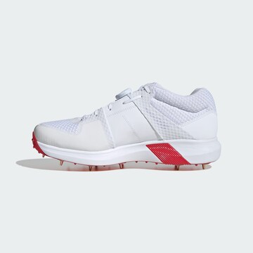 ADIDAS PERFORMANCE Sportschoen 'Adipower Vector 20' in Wit