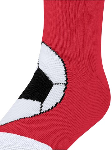 FALKE Socks 'Active Soccer' in Red