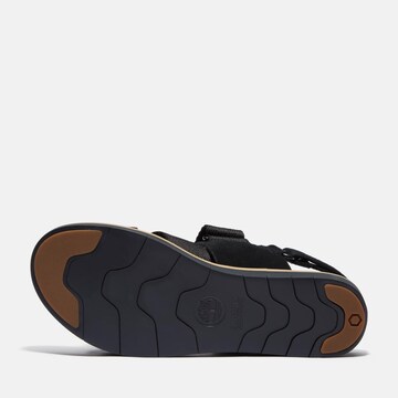 TIMBERLAND Sandals in Black