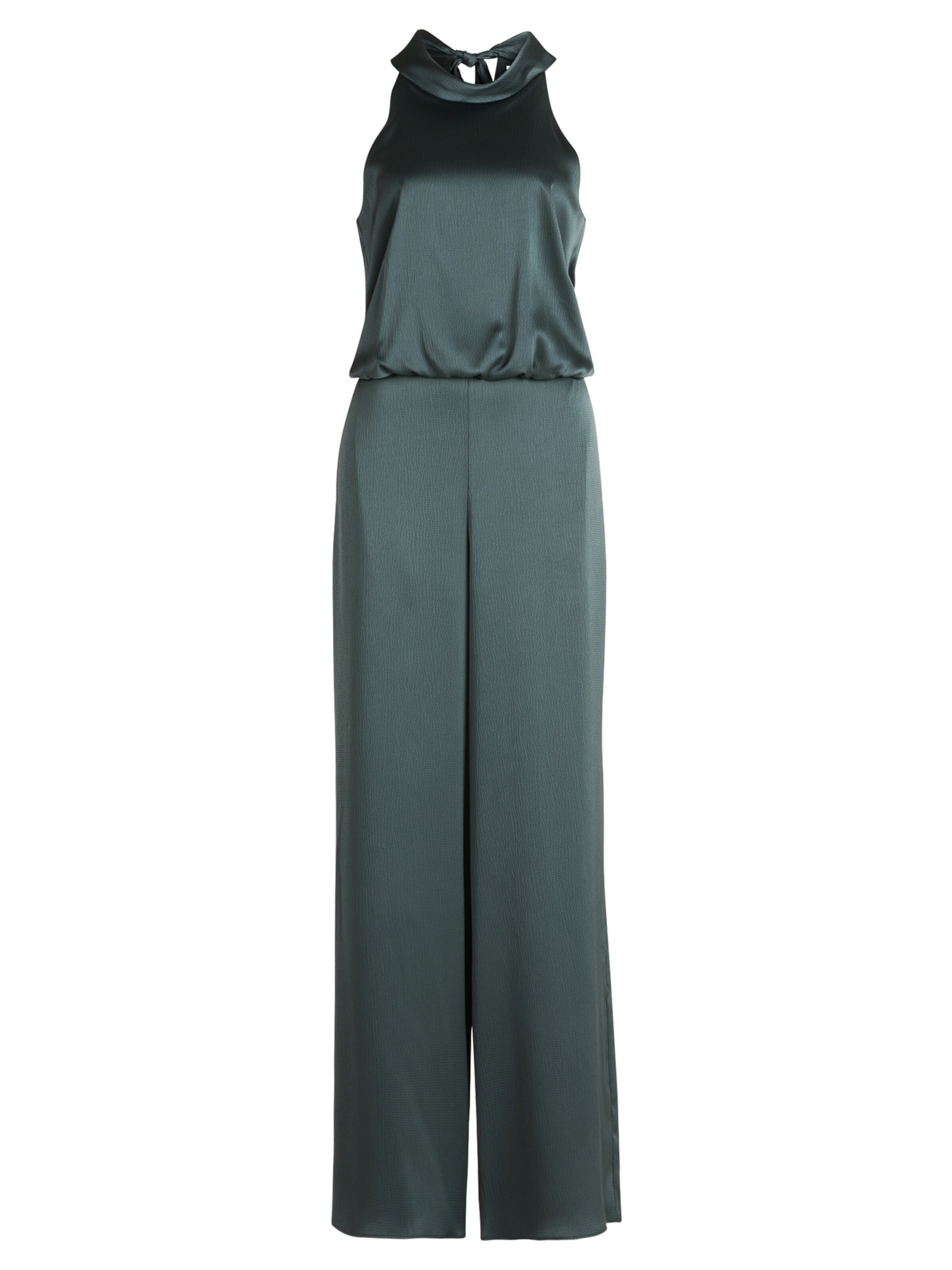 Vera Mont Jumpsuit in Green: front