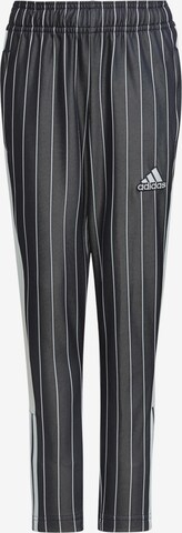 ADIDAS SPORTSWEAR Regular Workout Pants 'Tiro' in Blue: front