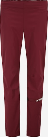 ADIDAS TERREX Regular Outdoor Pants 'Multi ' in Red: front