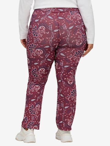 sheego by Joe Browns Regular Pants in Red