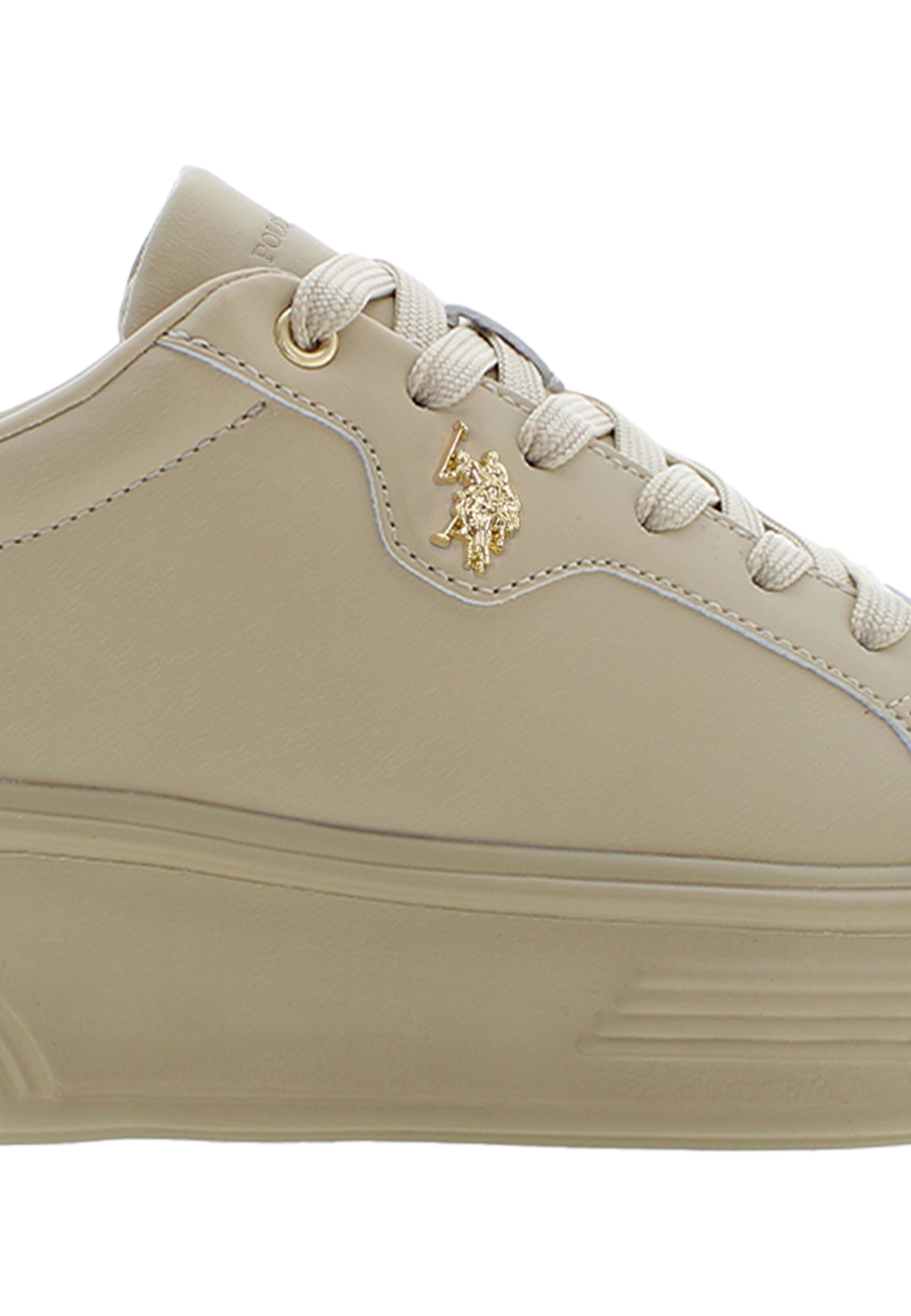 Sneaker bassa di U.S. POLO ASSN. in beige