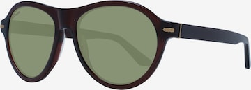 Lunettes de soleil 'Serengeti Sunglasses SS527004 Danby 56' Serengeti en marron : devant