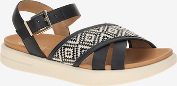 GEOX Sandale 'Geox Xand Sandalen schwarz beige D65PAB' in Schwarz: Vorderseite